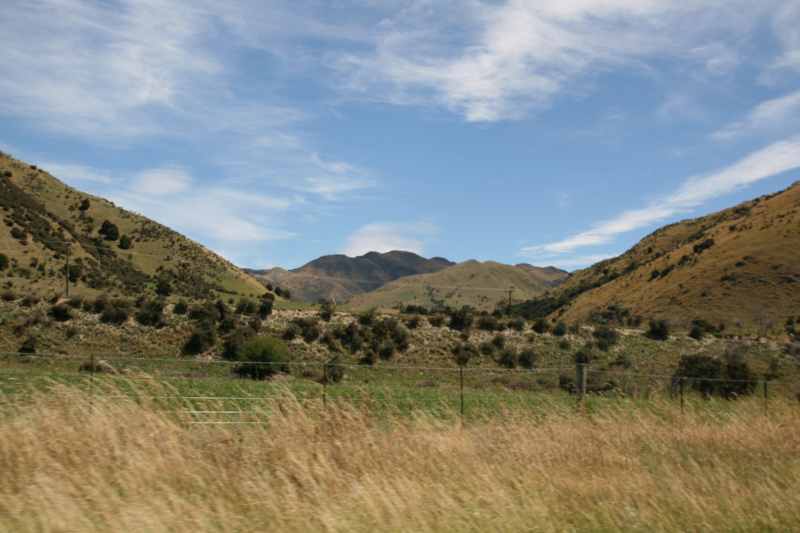 Nieuw-Zeeland 2011 - 1276